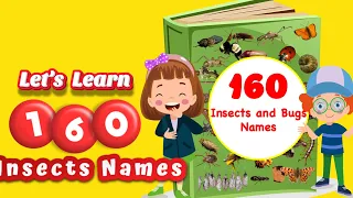 Discover 160 Fascinating Insect and Bug Names for Kids