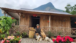 take rattan to weave baskets, Go to the fields to harvest fat...