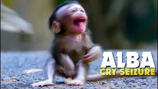 BREAKING HEART!!! Poor Baby Monkey Alba Crying Seizure Bagging Mum to Pick Up - Poor Life ALBA