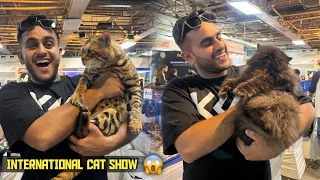 International Cat Show in Delhi😱🐱