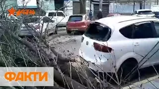 Ураган в Украине: повалены деревья, сорваны крыши, без света почти 100 сел