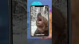 Girl Screaming With Grizzly Bear