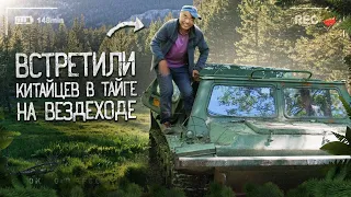 КИТАЙЦЫ НА ВЕЗДЕХОДЕ В ТАЙГЕ, ЕДУТ КУДА ХОТЯТ.  Повстречали китайцев в тайге, когда ехали на пасеку.