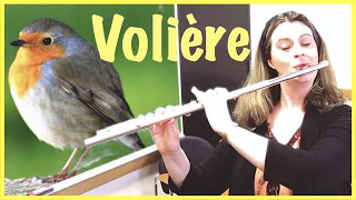 Best Double Tongue EXCERPT Practice - Saint-Saëns Volière - Flute Tube, Episode 80