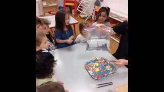 Preschool Science Experiment at Apple Montessori