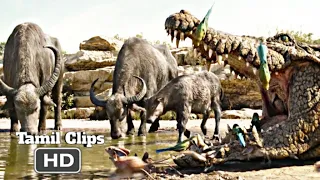 The Jungle Book (2016) - Whole Animal Assemble Water Drinking Scene Tamil [3/15] | Movieclips Tamil