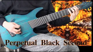 Perpetual Black Second / MESHUGGAH / Aristides 080S [Guitar Cover]