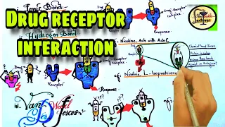 Drug receptor interaction | Pharmacodynamics | Pharmacology