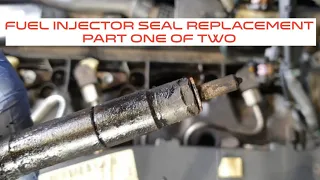 Mercedes Benz CDI W204, W207 OM651 Engine Fuel Injector Seal Replacement Part One Of Two