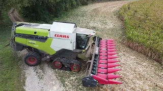 2x Claas lexion 8700 zber kukurice 2023 #1