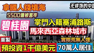 碧桂園預投資1千億美金的森林城市嗝屁了？大老闆放棄中國籍拍拍屁股跑了|國人5500億被套牢，碧桂園最坑人的項目，拿國人的錢去填海|#碧桂園馬來西亞森林城市#新加坡房子#碧桂園破產#無修飾的中國