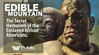 EDIBLE MOUNTAIN — The Secret Herbalism Of The Enslaved African Americans