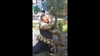 Watch: Python wraps itself around fireman during safety demonstration