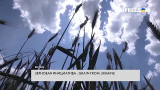 Grain from Ukraine: как работает украинская зерновая инициатива