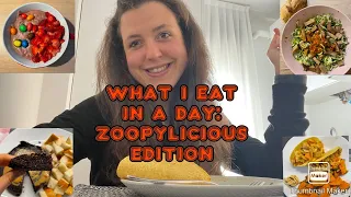 WHAT I EAT IN A DAY: ZOOPYLICIOUS SCEGLIE PER ME - GRANDI NOVITA', ZUCCHE CASTAGNOSE DOVE TROVARLE