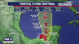 Tropical weather forecast: June 3, 2020