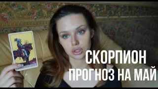 СКОРПИОН ♏️ ТАРО прогноз на май 2024. Скорпион гороскоп на май 2024. Анна Пирс