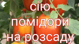 Сію помідори на розсаду 25.03.23р#помідори ,#сіюпомідори.