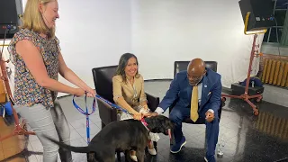 Mayor Hancock and "Baked Potato" Encourage Pet Adoption