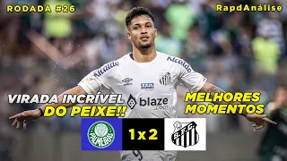 VIRADA INCRÍVEL | Palmeiras 1x2 Santos | MELHORES MOMENTOS | RapdAnálise | Brasileirão 2023