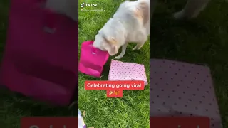 Celebrating Going Viral on TikTok!