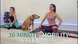 30-MIN. FULL BODY MOBILITY & FLEXIBILITY WORKOUT / 30 DIFFERENT LOW-IMPACT MOVEMENTS / NO EQUIPMENT