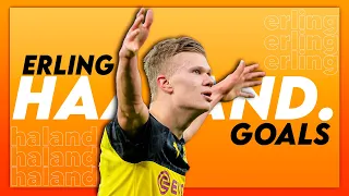 Erling Haaland 2020 - AMAZING Goals