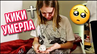 ВЛОГ /😭 КИКИ УМЕРЛА 🐹 27.10.21