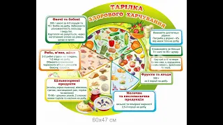 Школа.Значення харчування в житті людини