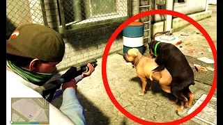 GTA 5 VIỆT HÓA BỰA #2: CẬN CẢNH CHÓ CHỊCH NHAU =))