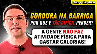 POR QUE A GORDURA NA BARRIGA É TÃO DIFÍCIL DE PERDER? | Muzy Explica