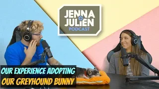 Podcast #230 - Our Experience Adopting Our Greyhound Bunny