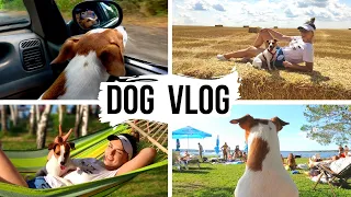 DOG VLOG | Наша спонтанная поездка с собакой на базу отдыха
