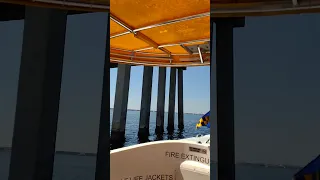 Charlotte Harbor water taxi in Punta Gorda Florida