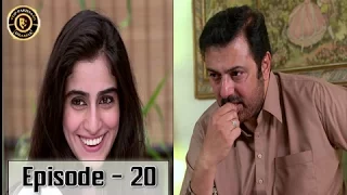 Mere Humnawa Episode - 20 - 28th January 2017 - ARY Digital Top Pakistani Dramas