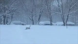 В Челябинск пришла зима. Наконец-то! Челябинск 04.02.2019