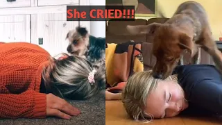 Dogs Reaction When Their Owners Playing Dead