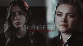 Yelena Belova & Daisy Johnson | Strange Birds