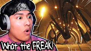 THE TUNNELS IN THE BACKROOMS IS WORSE THAN LEVEL 0!!! (part 5)