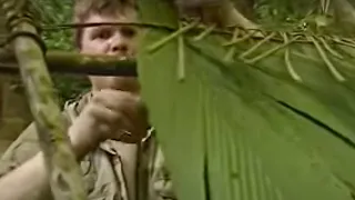 Building a Shelter in the Rainforest | Ray Mears Extreme Survival | BBC Studios