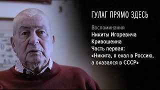 Гулаг прямо здесь. Никита Игоревич Кривошеин. Часть 1: «Никита, я ехал в Россию, а оказался в СССР».