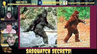 Why is the Patterson/Gimlin footage the Most Convincing Bigfoot Footage?