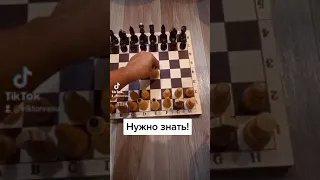 Шахматы. Это должен знать каждый шахматист!