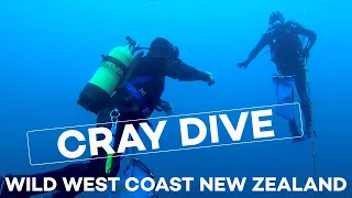 Crayfish Dive Wild West Coast of New Zealand