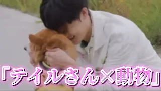 【NCT】テイルさんと動物のケミが最高というお話