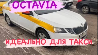 SKODA OCTAVIA из под такси обзорчик  тариф Комфорт что ли