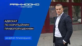 Адвокат по корупційним правоопорушенням Андрій Приходько. Консультації по Е-деклараціям