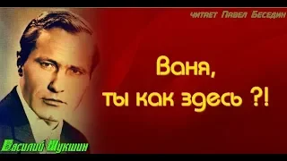 Василий  Шукшин Ваня ты как здесь ?!  читает Павел Беседин