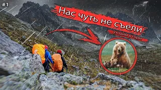 Архыз.. Медведи.. Всё не так как планировали!