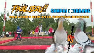 FINAL SERU SAMPAI 3 KALI TERBANG!! PRA LOMBA NEW AYLA SUMATERA BERSATU LAPAK SUKOSARI PALEMBANG